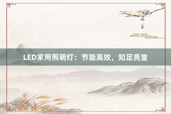 LED家用照明灯：节能高效，知足亮堂