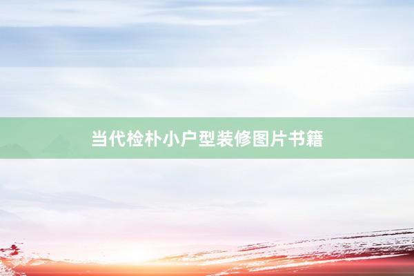 当代检朴小户型装修图片书籍