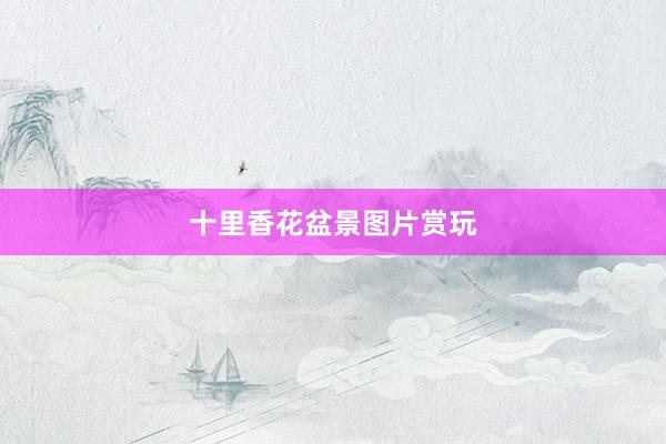 十里香花盆景图片赏玩